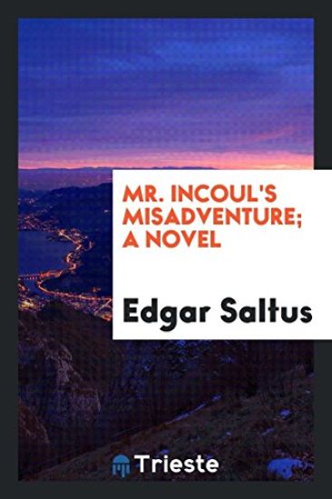 Mr. Incoul's Misadventure; A Novel