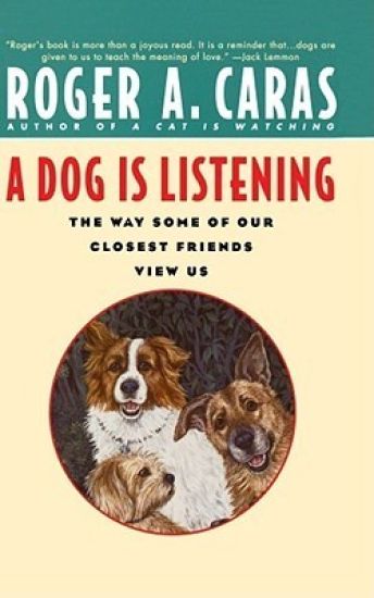 A Dog is Listening