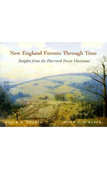 New England Forests Through Time