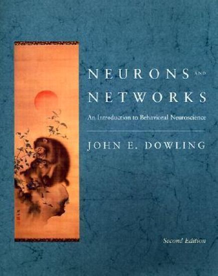 Neurons and Networks