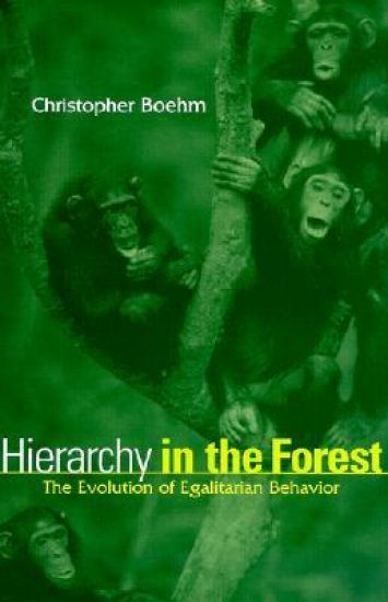 Hierarchy in the Forest