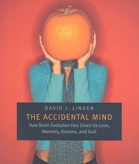 The Accidental Mind