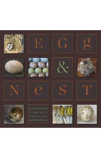 Egg & Nest