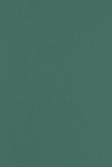 Bhaviveka and His Buddhist Opponents