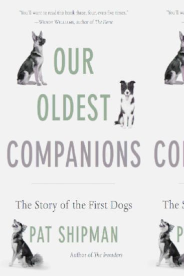Our Oldest Companions