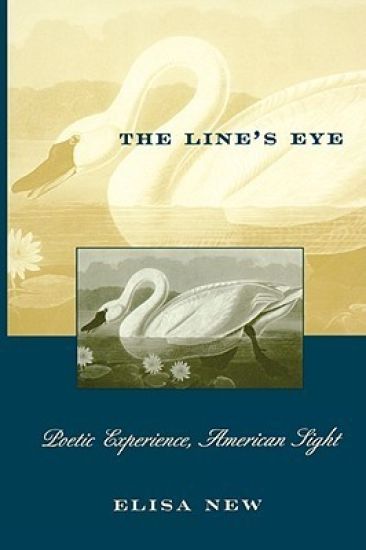 The Line’s Eye
