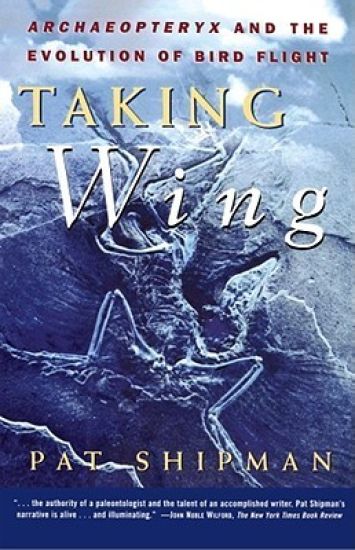 Taking Wing