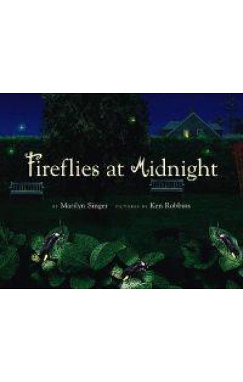 Fireflies at Midnight