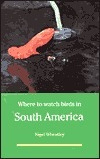 Where to Watch Birds in South America