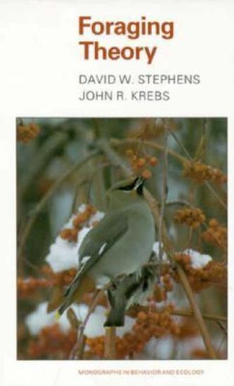 Foraging Theory