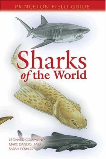 Sharks Of The World