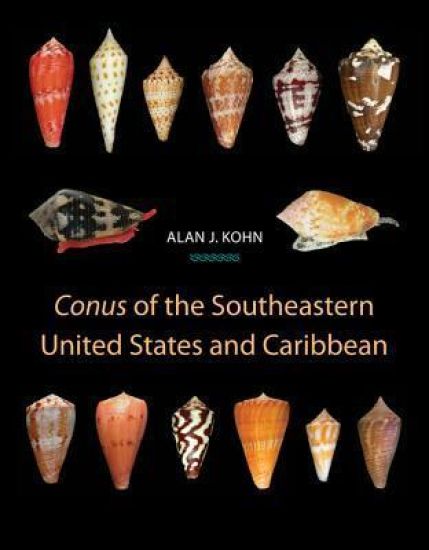 Conus of the Southeastern United States and Caribbean