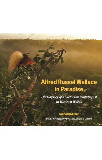 Alfred Russel Wallace in Paradise