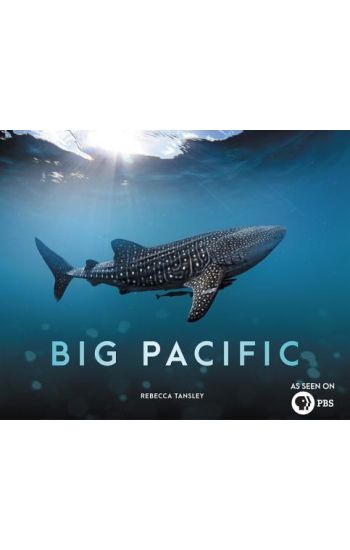 Big Pacific: Passionate, Voracious, Mysterious, Violent
