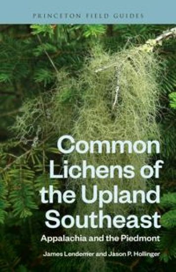 Common Lichens of the Upland Southeast