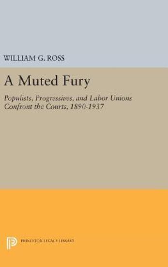 A Muted Fury