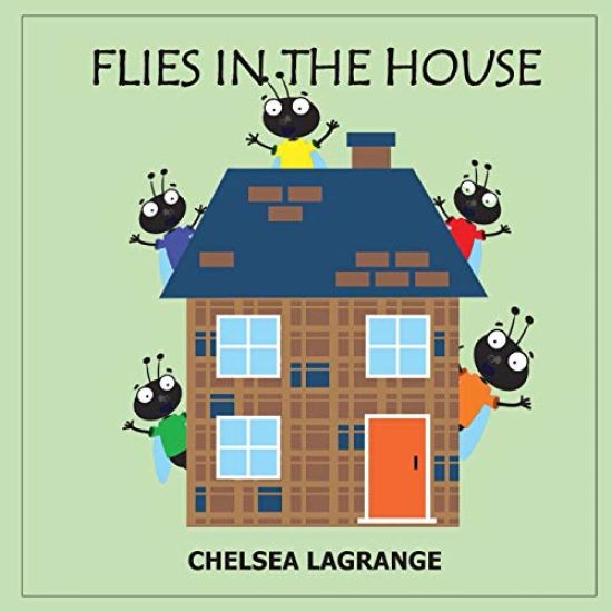 Flies in the House