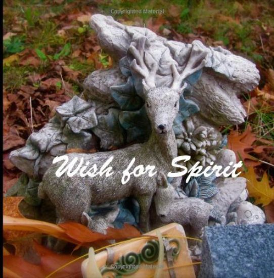 Wish for Spirit: Visual Poem
