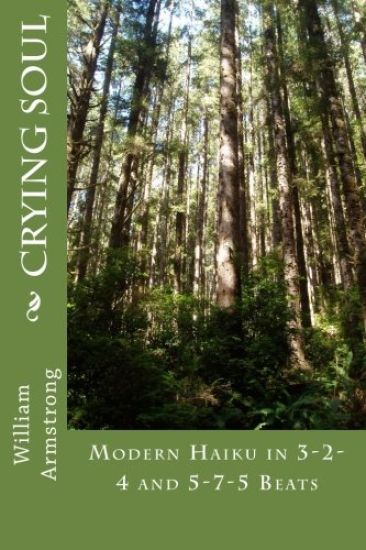Crying Soul: Modern Haiku in 3-2-4 and 5-7-5 Beats