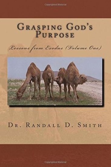 Grasping God's Purpose (I): Lessons from Exodus