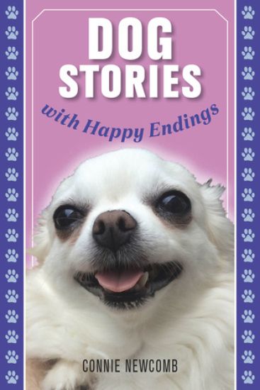 Dog Stories with Happy Endings