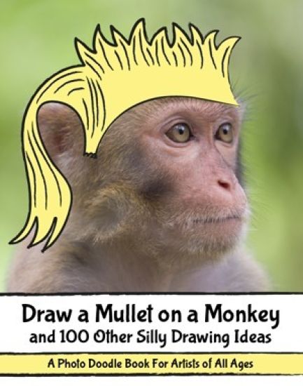 Draw a Mullet on a Monkey and 100 Other Silly Drawing Ideas: A Photo Doodle Book for Artists of All Ages