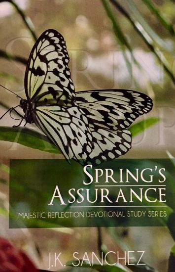 Spring's Assurance