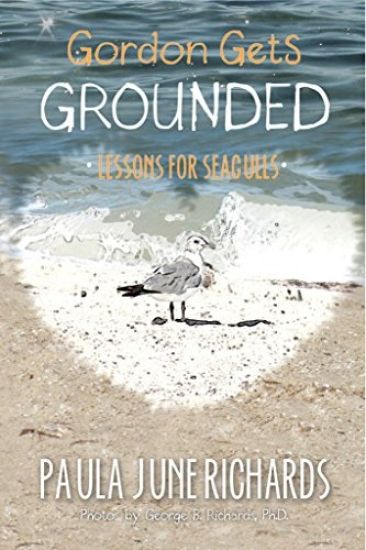 Gordon Gets Grounded: Lessons For Seagulls