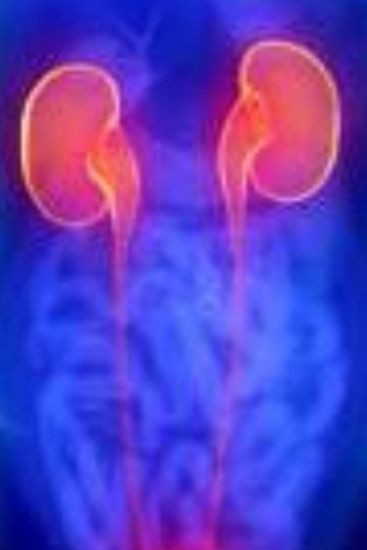 The Bastille Family Chronicles: Dominic: A Bastille Family Novel