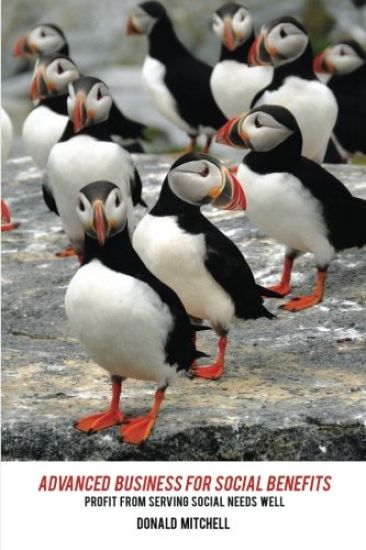 Advanced Business for Social Benefits: Profit from Serving Social Needs Well