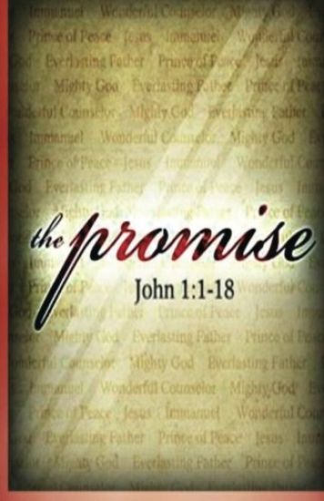 The Promise: The Secret Revealed