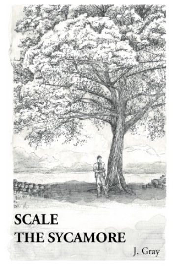 Scale the Sycamore