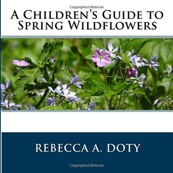 A Children's Guide to Spring Wildflowers