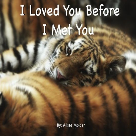 I Loved You Before I Met You