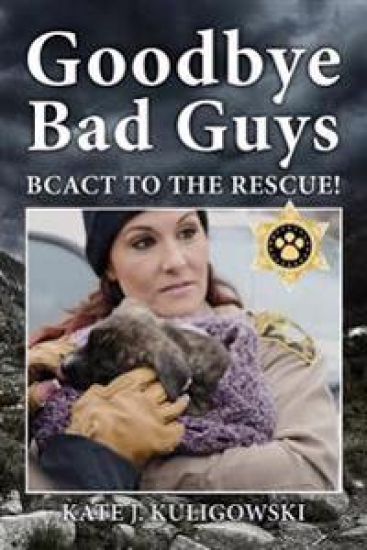 Goodbye Bad Guys: Bcact to the Rescue!