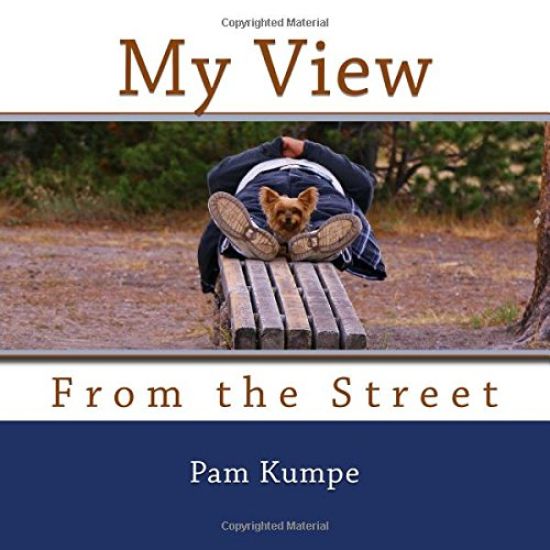 My View from the Street