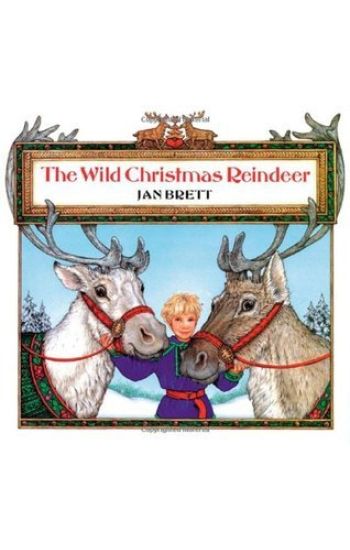 The Wild Christmas Reindeer