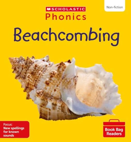 Beachcombing (Set 13)