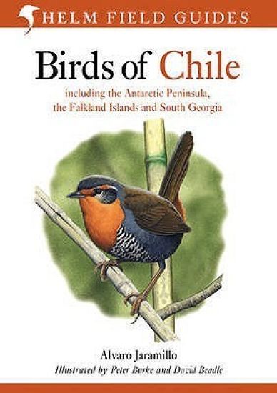 Birds of Chile
