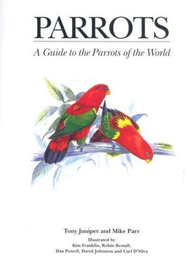 Parrots