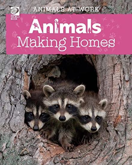 Animals Making Homes