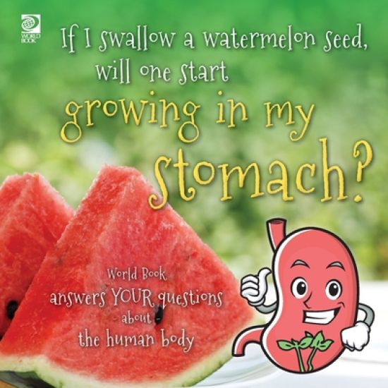 If I swallow a watermelon seed, will one start growing in my stomach?