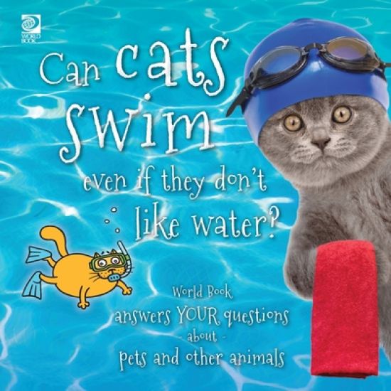 Can cats swim even if they don't like water?
