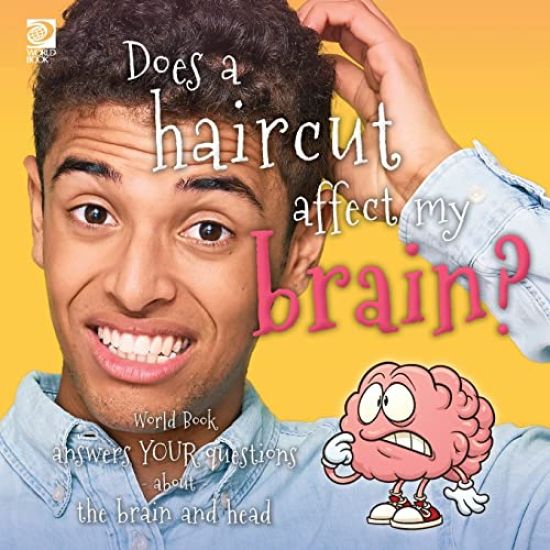 Does a haircut affect my brain? World Book answers your questions about the brain and head