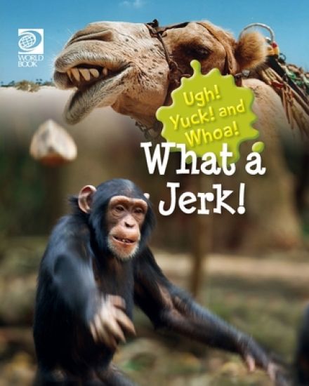 What a Jerk!