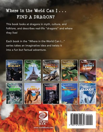 Find a Dragon?
