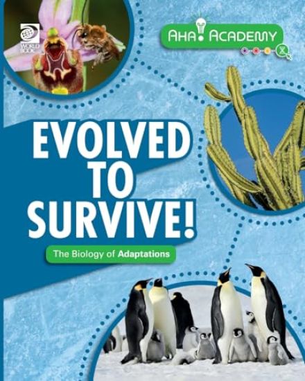 Evolved to Survive! The Biology of Adaptations