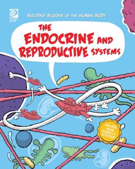 The Endocrine and Reproductive Systems