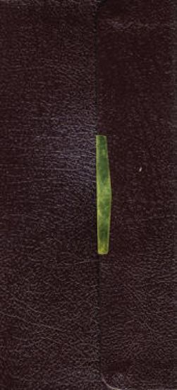 KJV Compact Checkbook Bible, Burgundy Bonded Leather, Red Letter: King James Version, Holy Bible