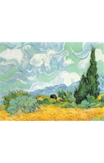 Van Gogh Countryside Portfolio Notes